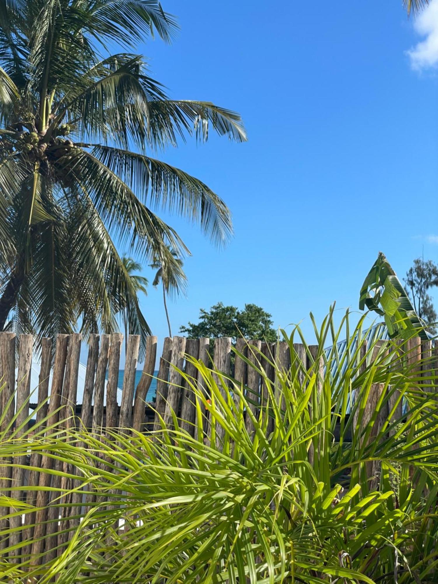 Maison Boheme Bed and Breakfast Nungwi Exterior foto